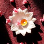 White Marble Urli Bowl Set – Handmade Luxury Decor for Floating Flowers & Candles thumbnail